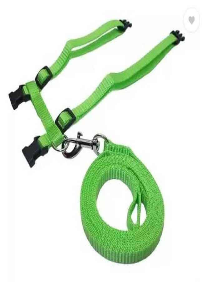 Pups&Pets طوق من النايلون مع حزام قابل للتعديل من Pups&Pets للقطط والأرانب والحيوانات الأليفة الصغيرة - أخضر - Image 2